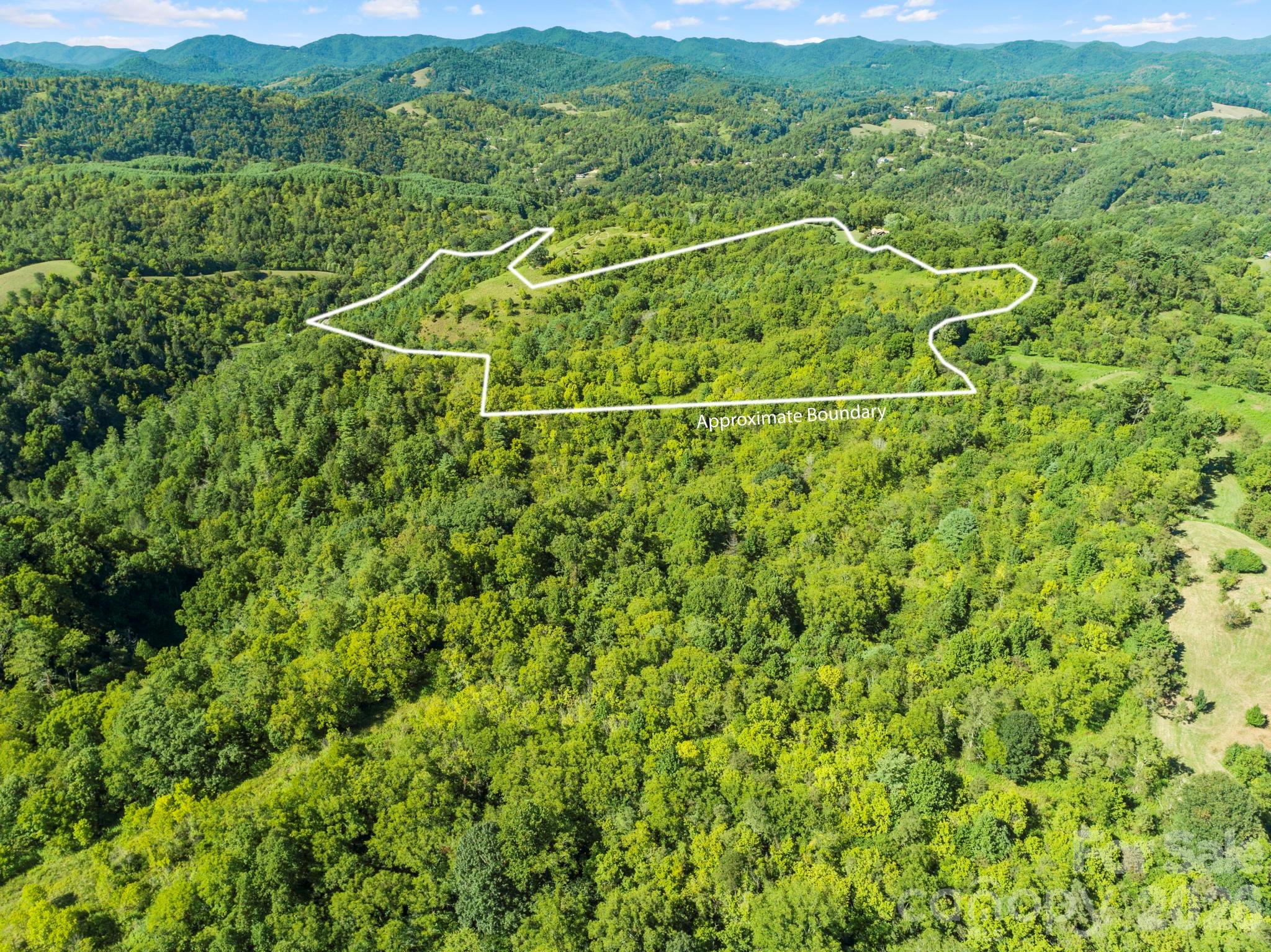 1231 Baileys Branch Road, Unit 3 Marshall, NC 28753 - Photo 27 of 36 a view of a lush green hillside and a houses