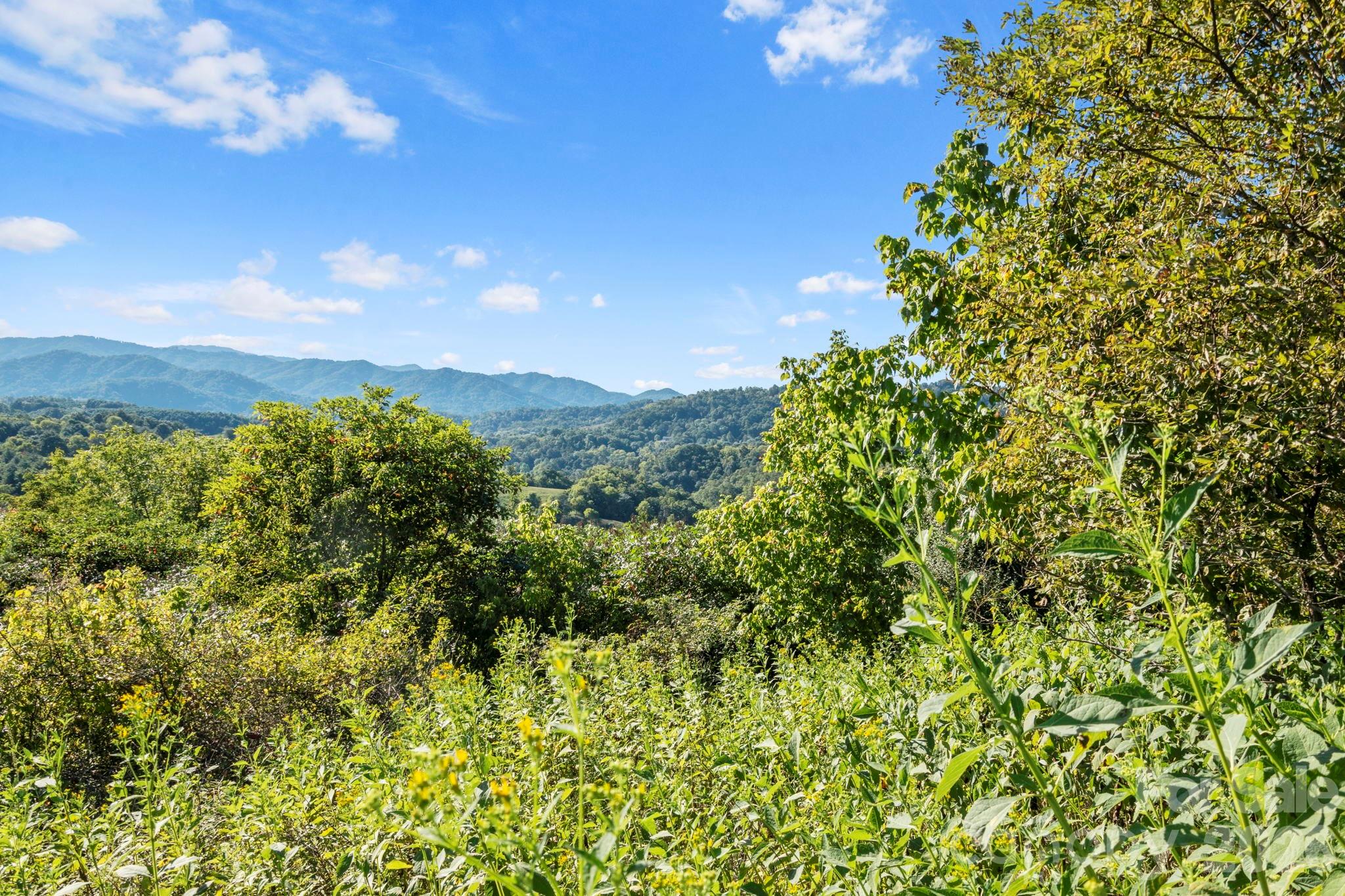 1231 Baileys Branch Road, Unit 3 Marshall, NC 28753 - Photo 28 of 40