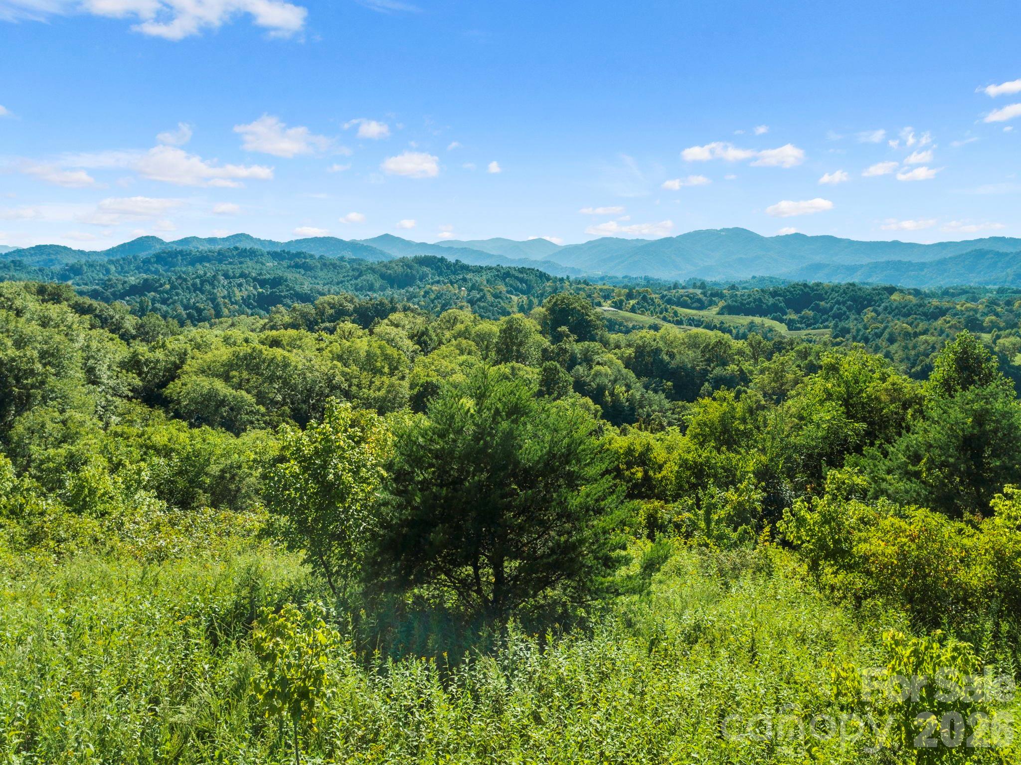 1231 Baileys Branch Road, Unit 3 Marshall, NC 28753 - Photo 29 of 36 a view of a city and lush green forest