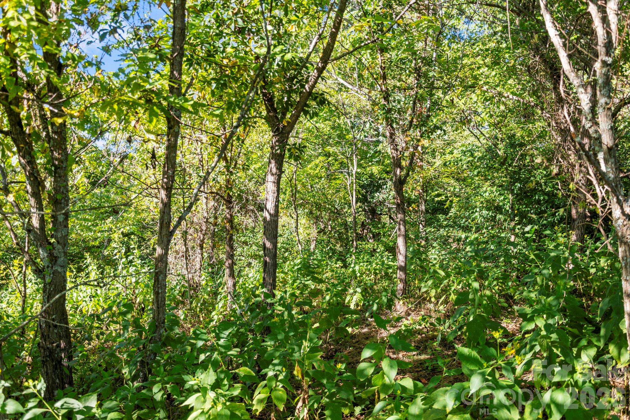 1231 Baileys Branch Road, Unit 3 Marshall, NC 28753 - Photo 30 of 40