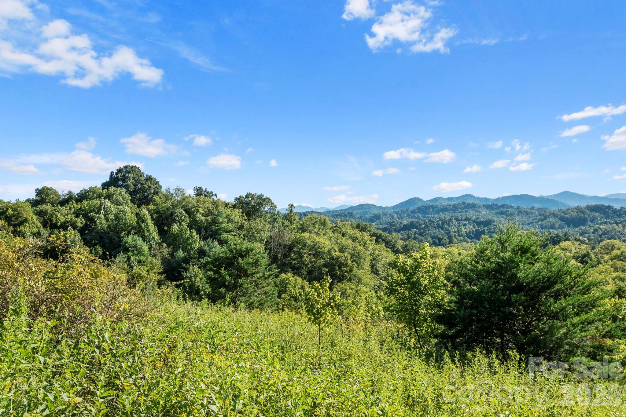 1231 Baileys Branch Road, Unit 3 Marshall, NC 28753 - Photo 3 of 36 a view of a city with lush green forest