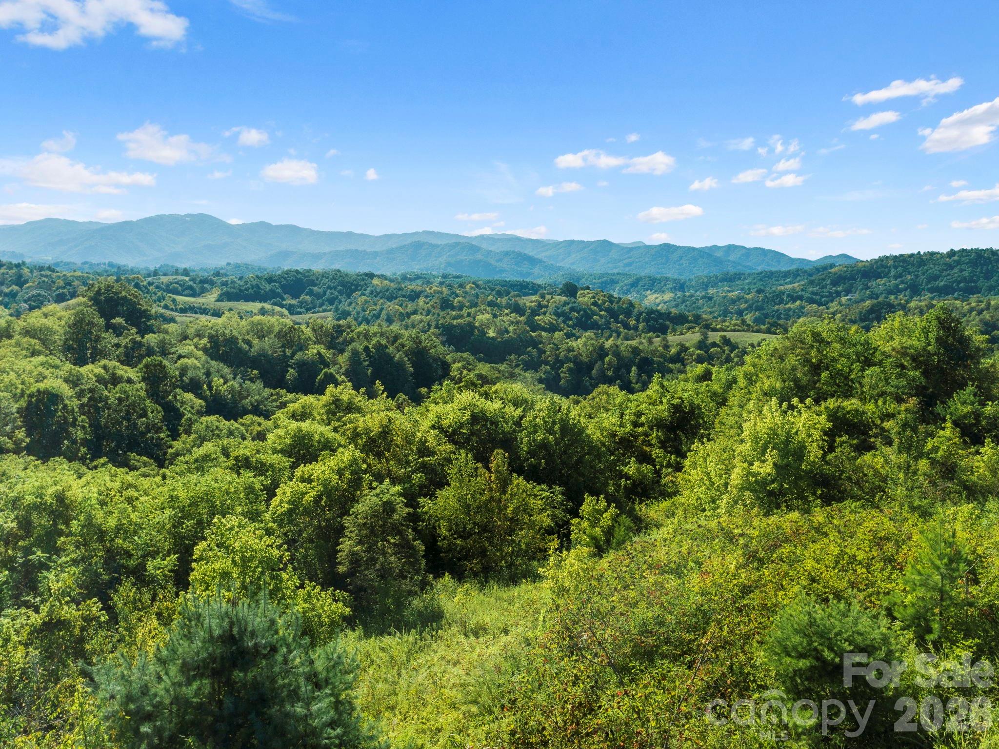 1231 Baileys Branch Road, Unit 3 Marshall, NC 28753 - Photo 33 of 40