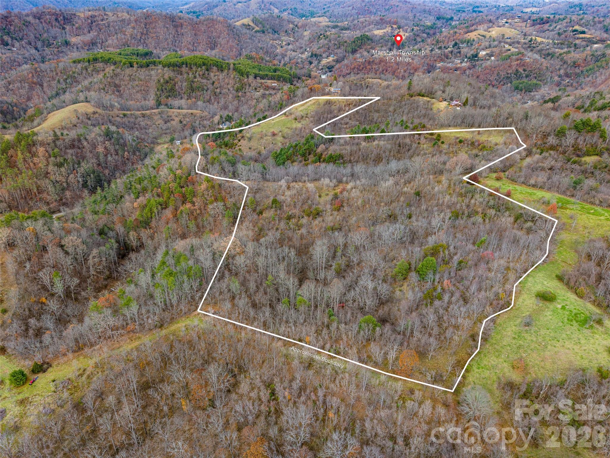 1231 Baileys Branch Road, Unit 3 Marshall, NC 28753 - Photo 4 of 40