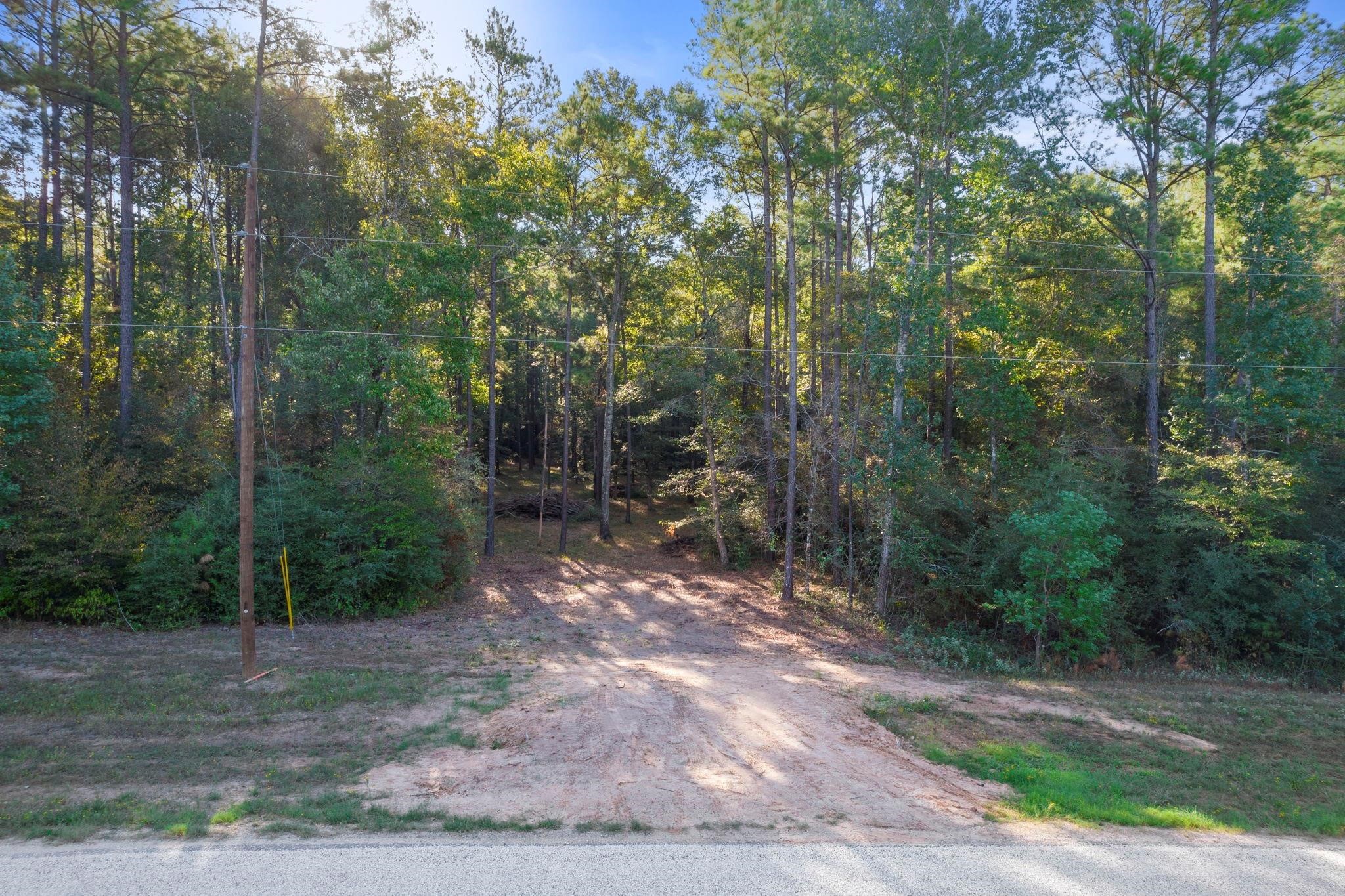 244 Remington Road Huntsville, TX 77340 - Photo 5 of 16