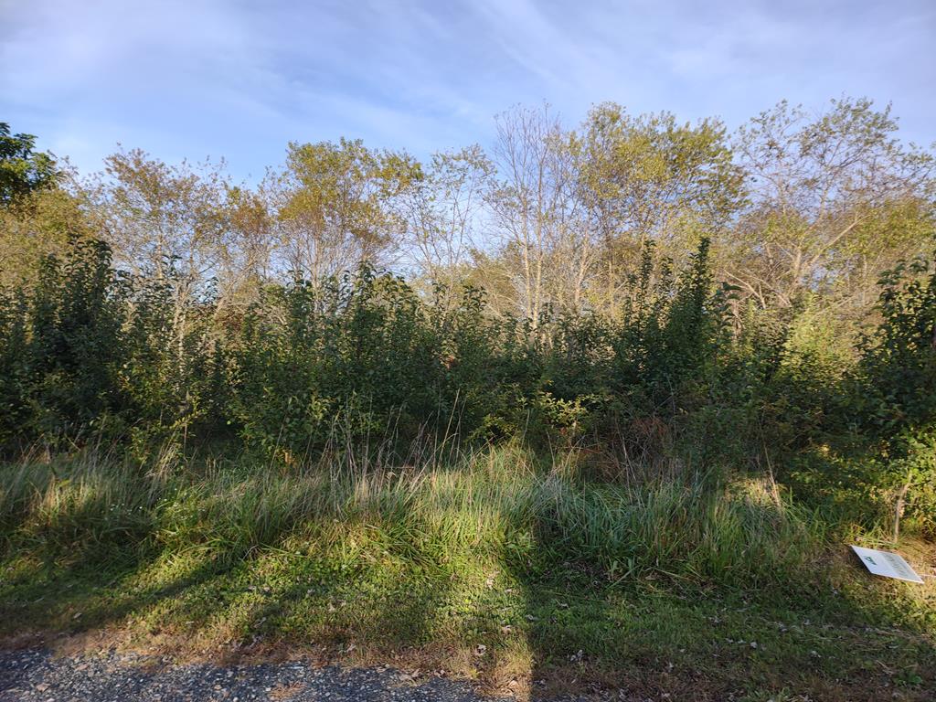 Lot 31 Olive Ridge Drive, Unit 31 Crumpler, NC 28617 - Photo 1 of 7 Gallery Image 1