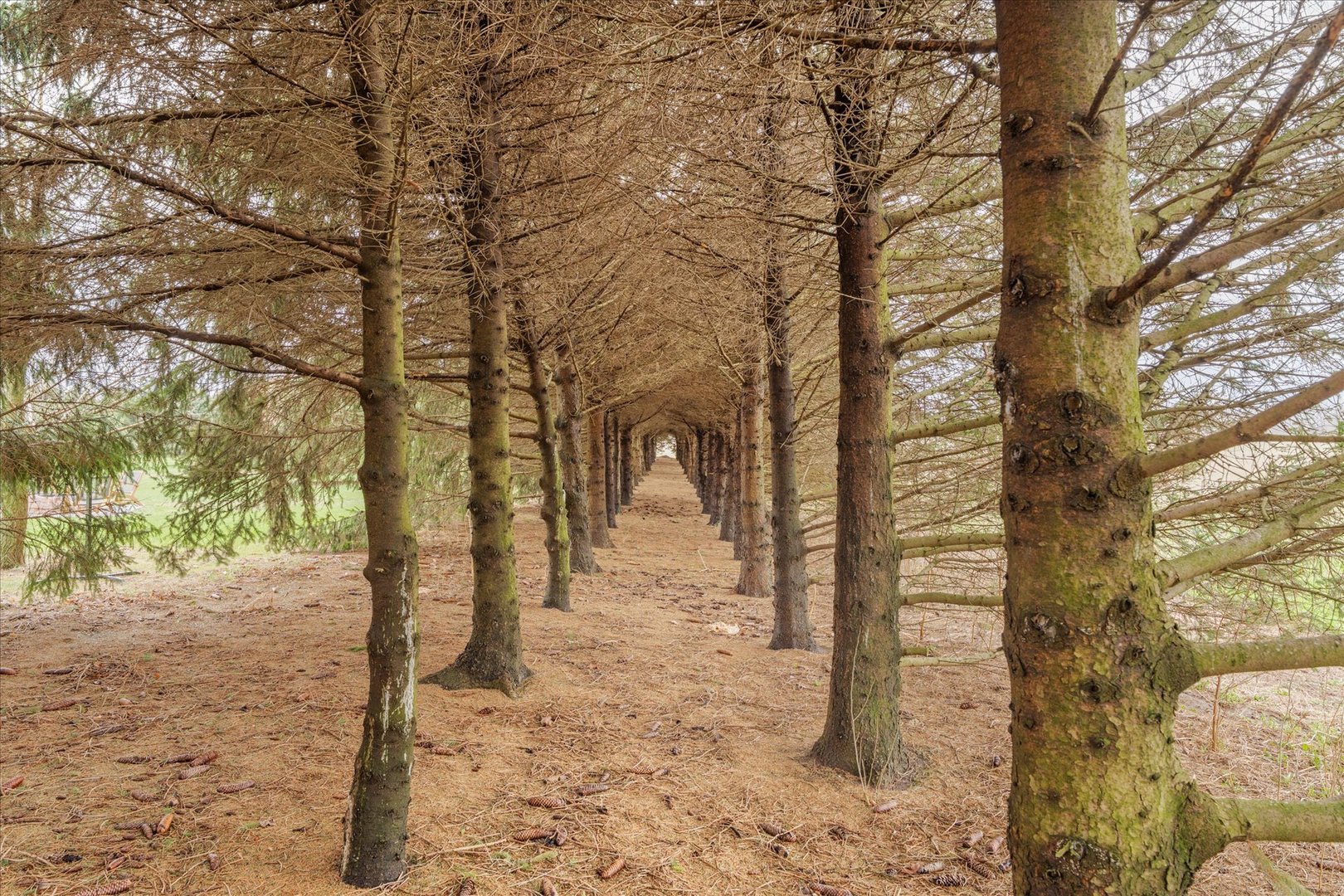 14540 East 3400 N Road Rossville, IL 60963 - Photo 39 of 65