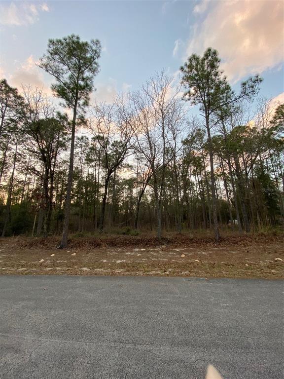 24 Southwest 90th Loop Dunnellon, FL 34431 - Photo 1 of 1 Frontage View