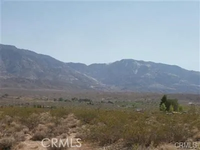 a view of a dry field with mountains in the background