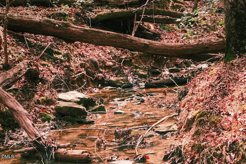 0 Ferguson Road Chapel Hill, NC 27516 - Photo 1 of 21 DSCF8670