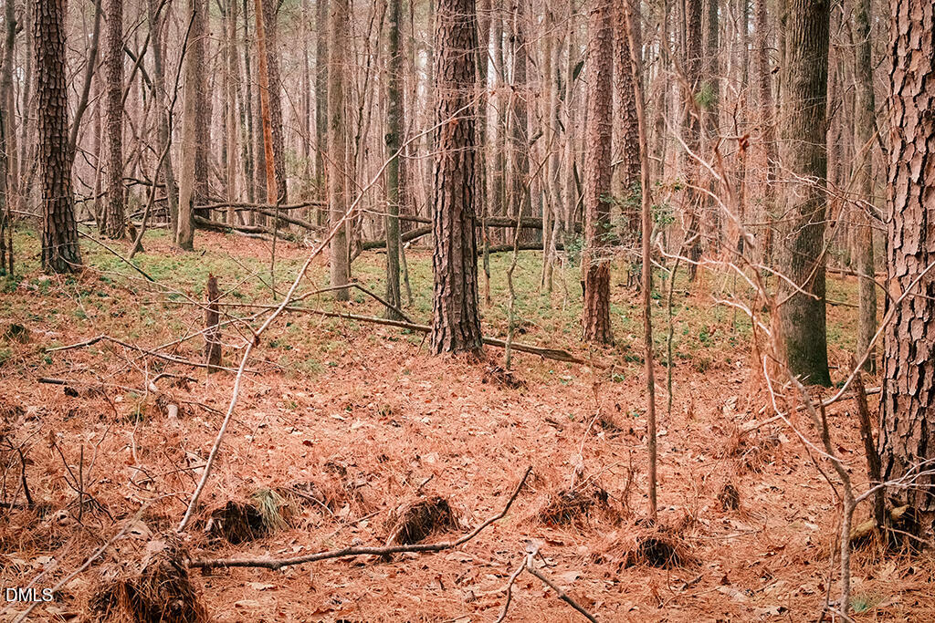 0 Ferguson Road Chapel Hill, NC 27516 - Photo 12 of 21 DSCF8707