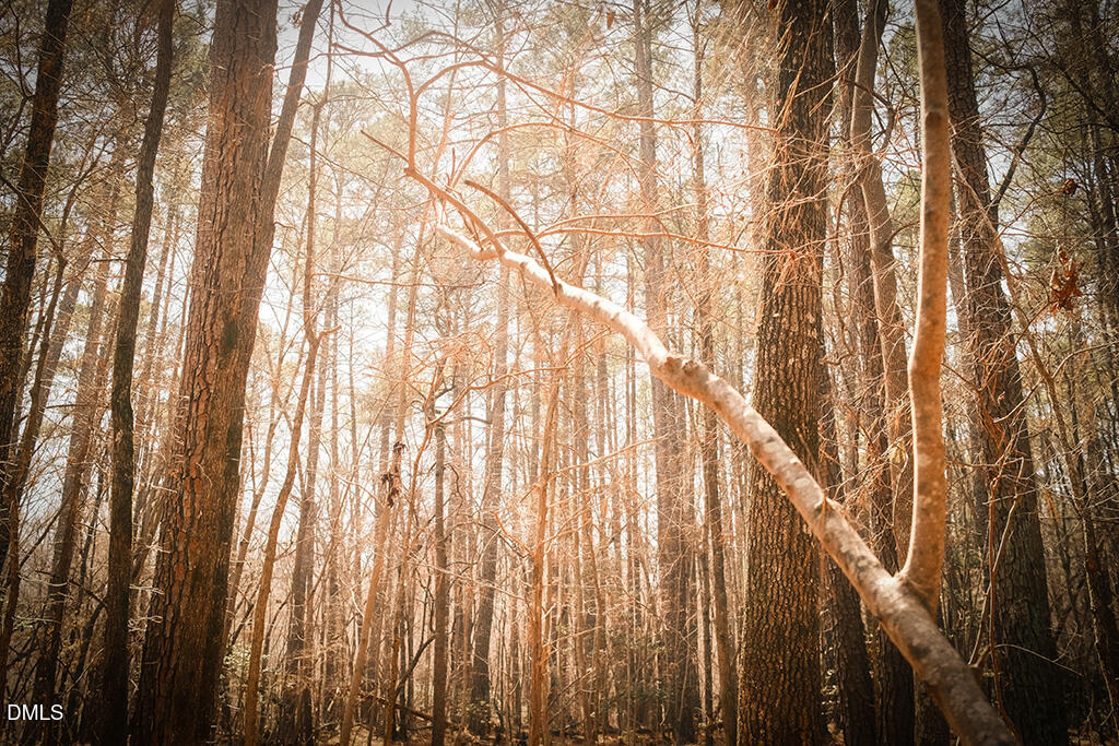 0 Ferguson Road Chapel Hill, NC 27516 - Photo 17 of 21 DSCF8722