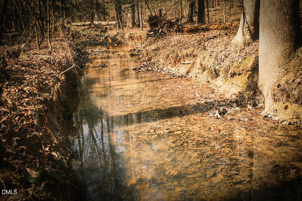 0 Ferguson Road Chapel Hill, NC 27516 - Photo 18 of 21 DSCF8730