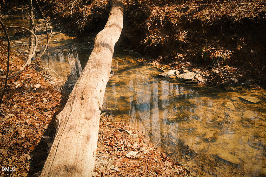 0 Ferguson Road Chapel Hill, NC 27516 - Photo 19 of 21 DSCF8734