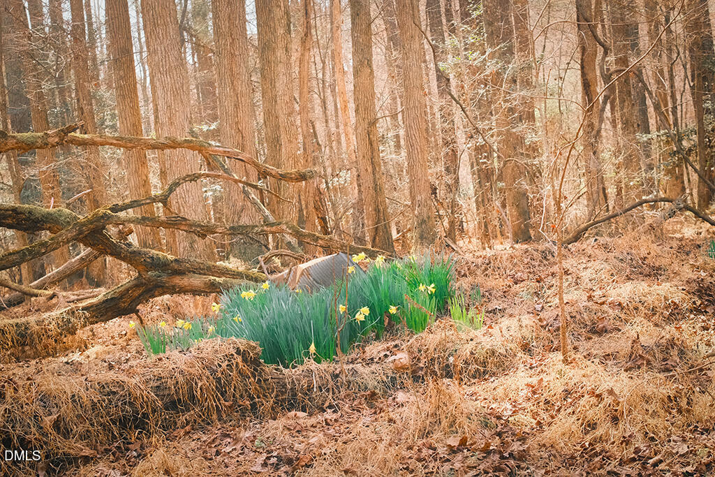 0 Ferguson Road Chapel Hill, NC 27516 - Photo 20 of 21 DSCF8741