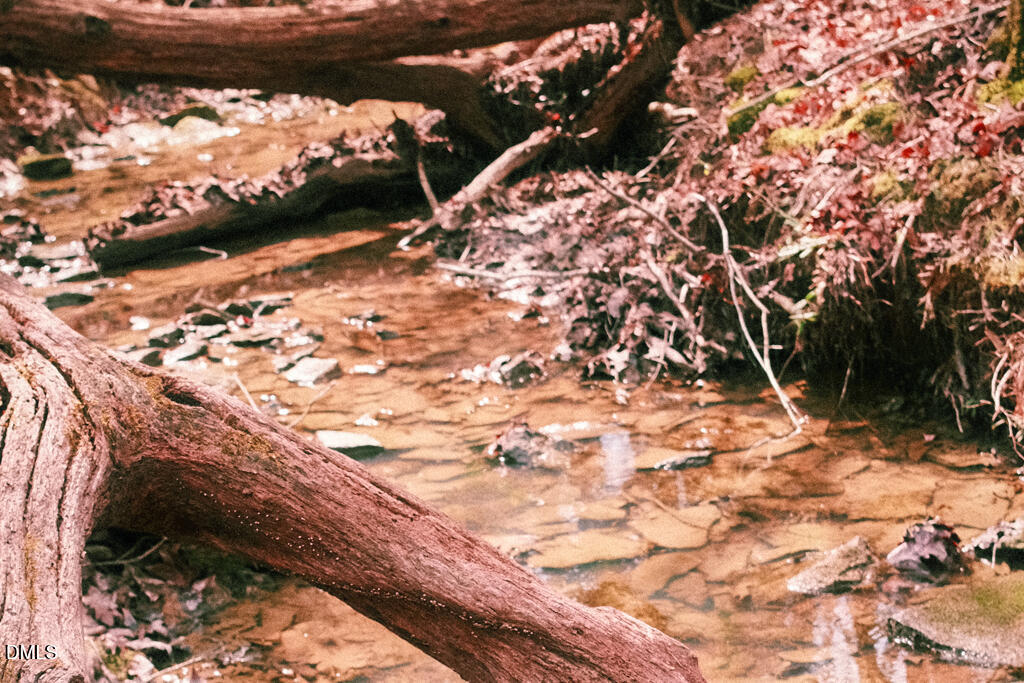 0 Ferguson Road Chapel Hill, NC 27516 - Photo 2 of 21 DSCF8673