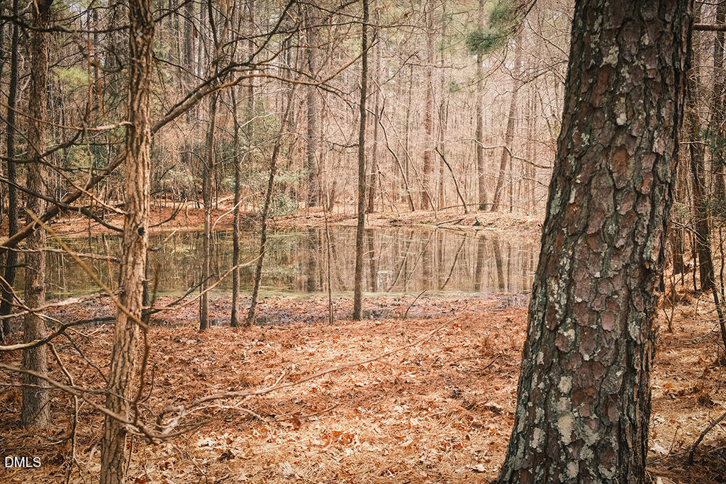 0 Ferguson Road Chapel Hill, NC 27516 - Photo 21 of 21 Pond