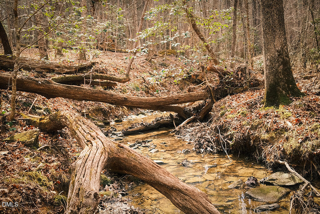 0 Ferguson Road Chapel Hill, NC 27516 - Photo 3 of 21 DSCF8674