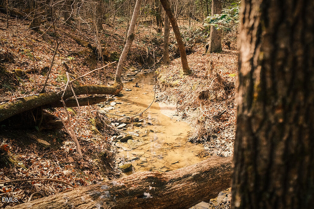 0 Ferguson Road Chapel Hill, NC 27516 - Photo 4 of 21 DSCF8676