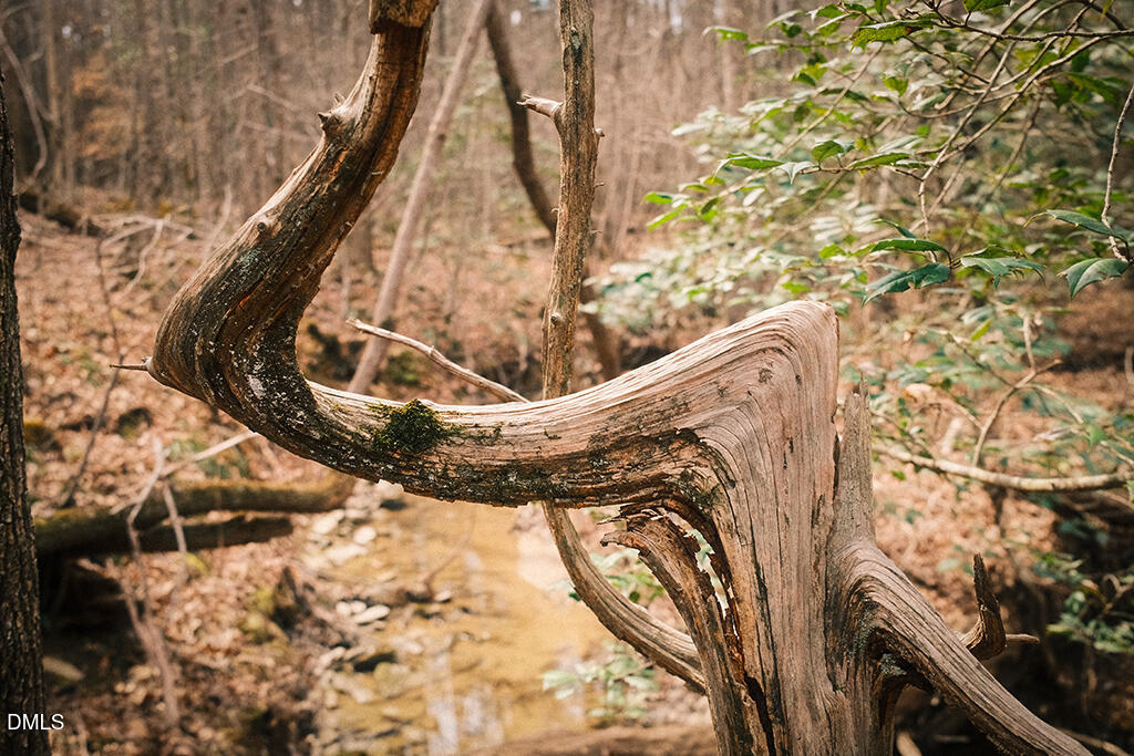 0 Ferguson Road Chapel Hill, NC 27516 - Photo 5 of 21 DSCF8679