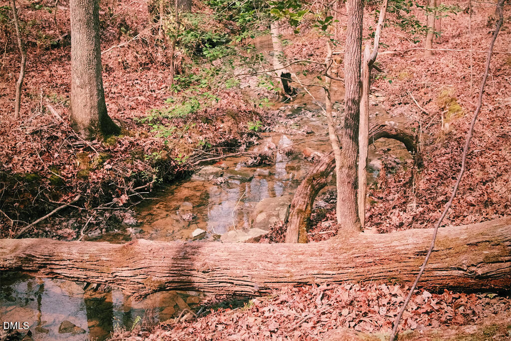 0 Ferguson Road Chapel Hill, NC 27516 - Photo 6 of 21 DSCF8682