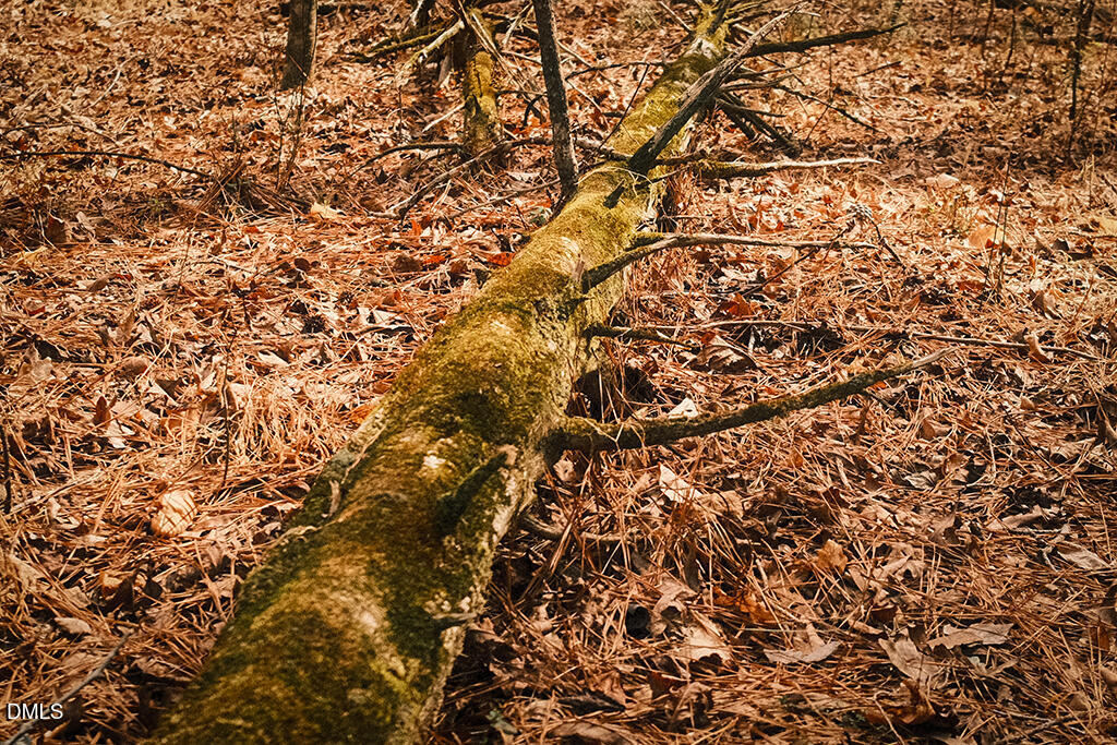 0 Ferguson Road Chapel Hill, NC 27516 - Photo 7 of 21 DSCF8688