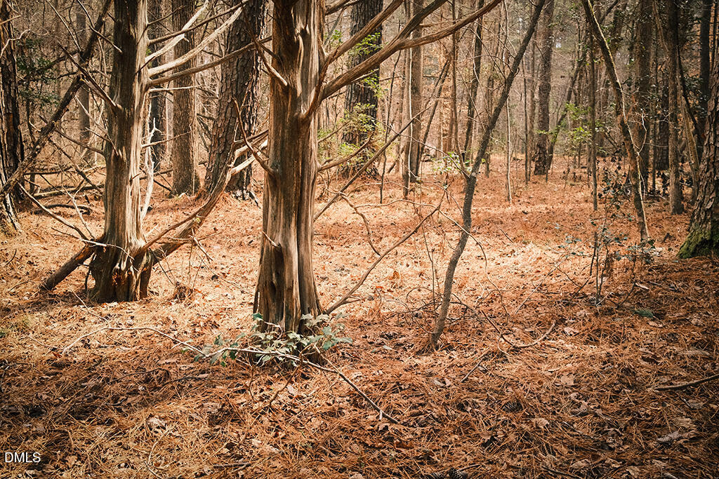 0 Ferguson Road Chapel Hill, NC 27516 - Photo 8 of 21 DSCF8691