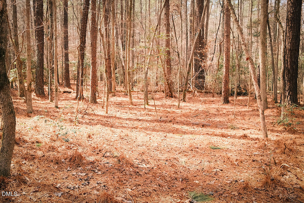 0 Ferguson Road Chapel Hill, NC 27516 - Photo 9 of 21 DSCF8693