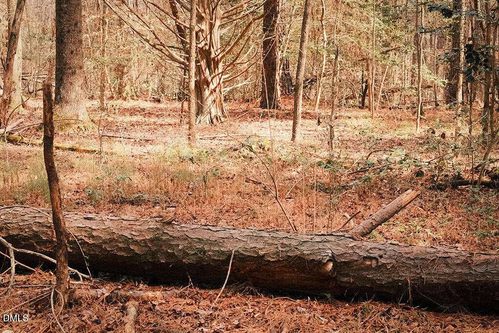 0 Ferguson Road Chapel Hill, NC 27516 - Photo 10 of 21 DSCF8700