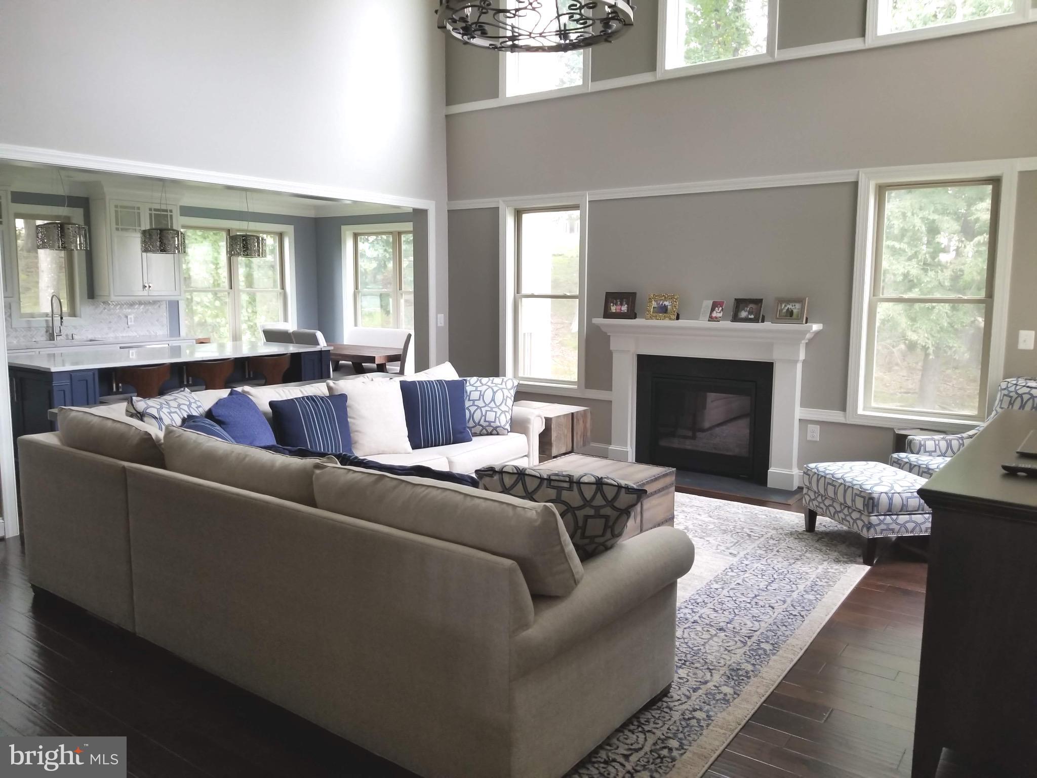 13200 Redspire Drive Silver Spring, MD 20906 - Photo 12 of 28 Family Room, 2 Story Coffered Ceiling