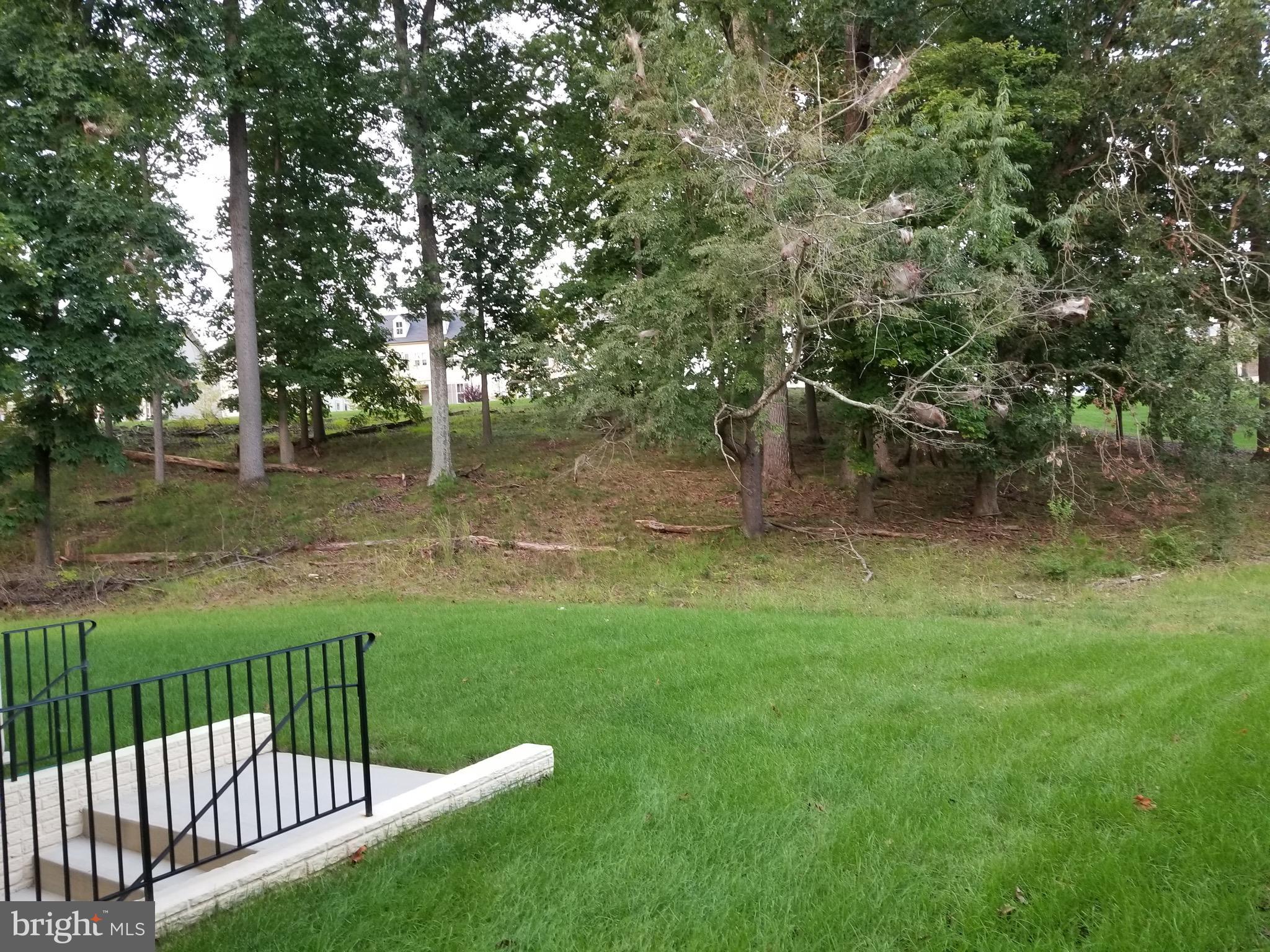 13200 Redspire Drive Silver Spring, MD 20906 - Photo 27 of 28 Rear View and Walk-up Stairs From Lower Level