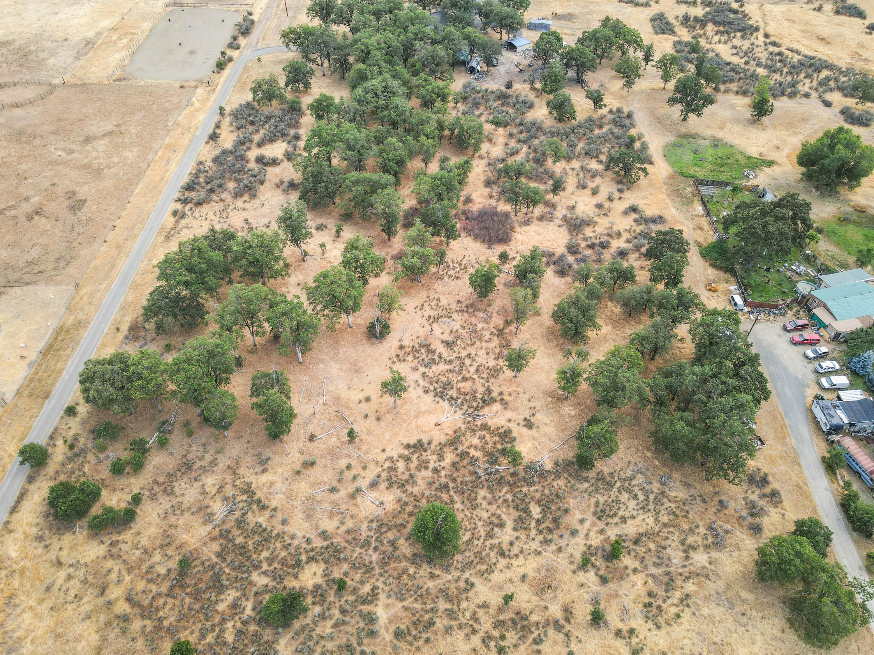 dji_fly_20250801_162126_778_175409051877
