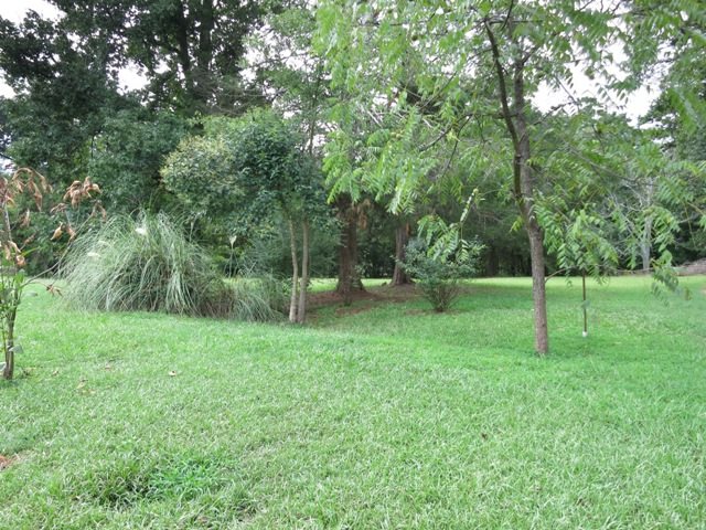 2120 Providence Church Road Anderson, SC 29626 - Photo 11 of 11 Gallery Image 11