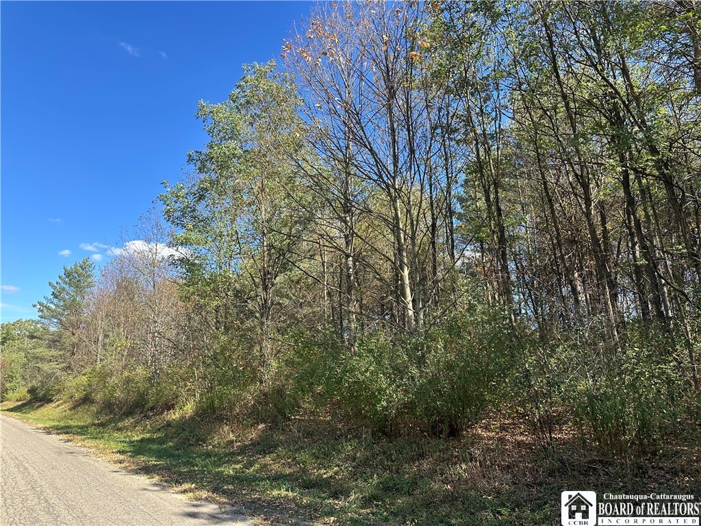 Prill Road West Valley, NY 14171 - Photo 8 of 8