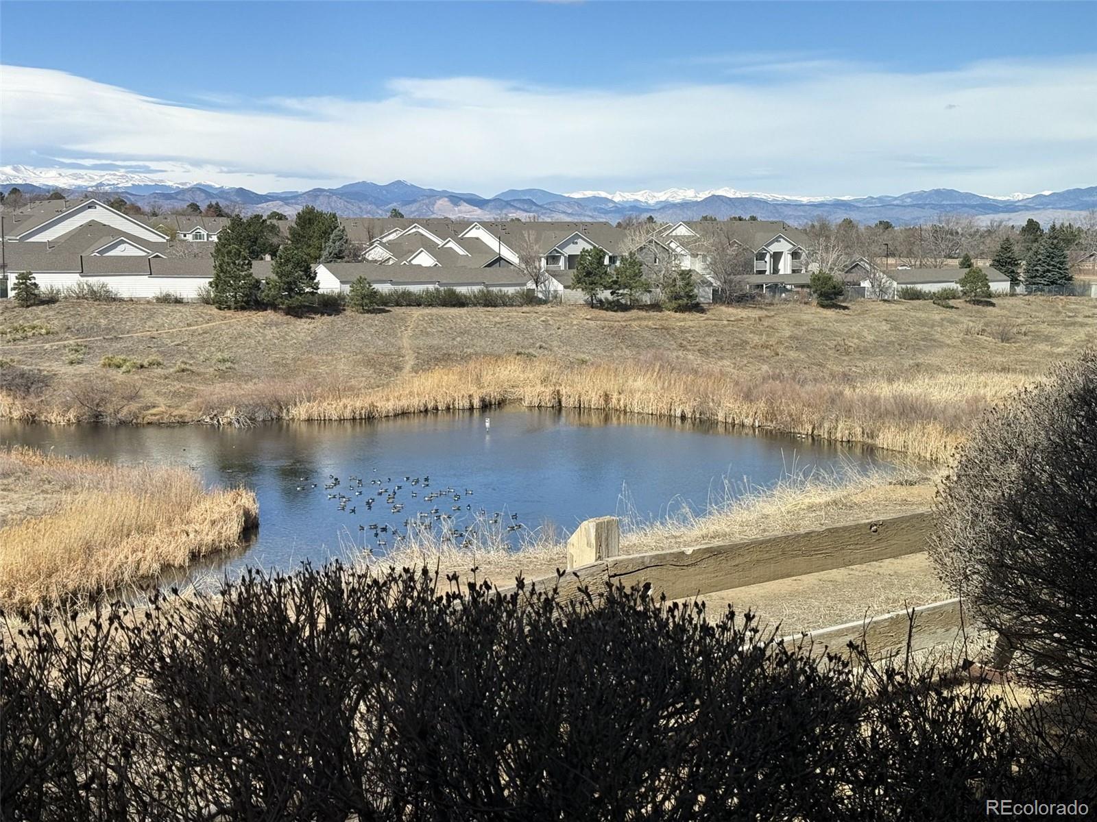 8389 Pebble Creek Way, Unit 101 Highlands Ranch, CO 80126 - Photo 11 of 44 a view of a lake with a mountain