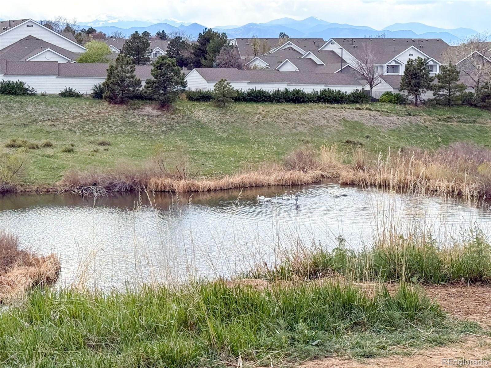 8389 Pebble Creek Way, Unit 101 Highlands Ranch, CO 80126 - Photo 27 of 44 a view of lake with mountain