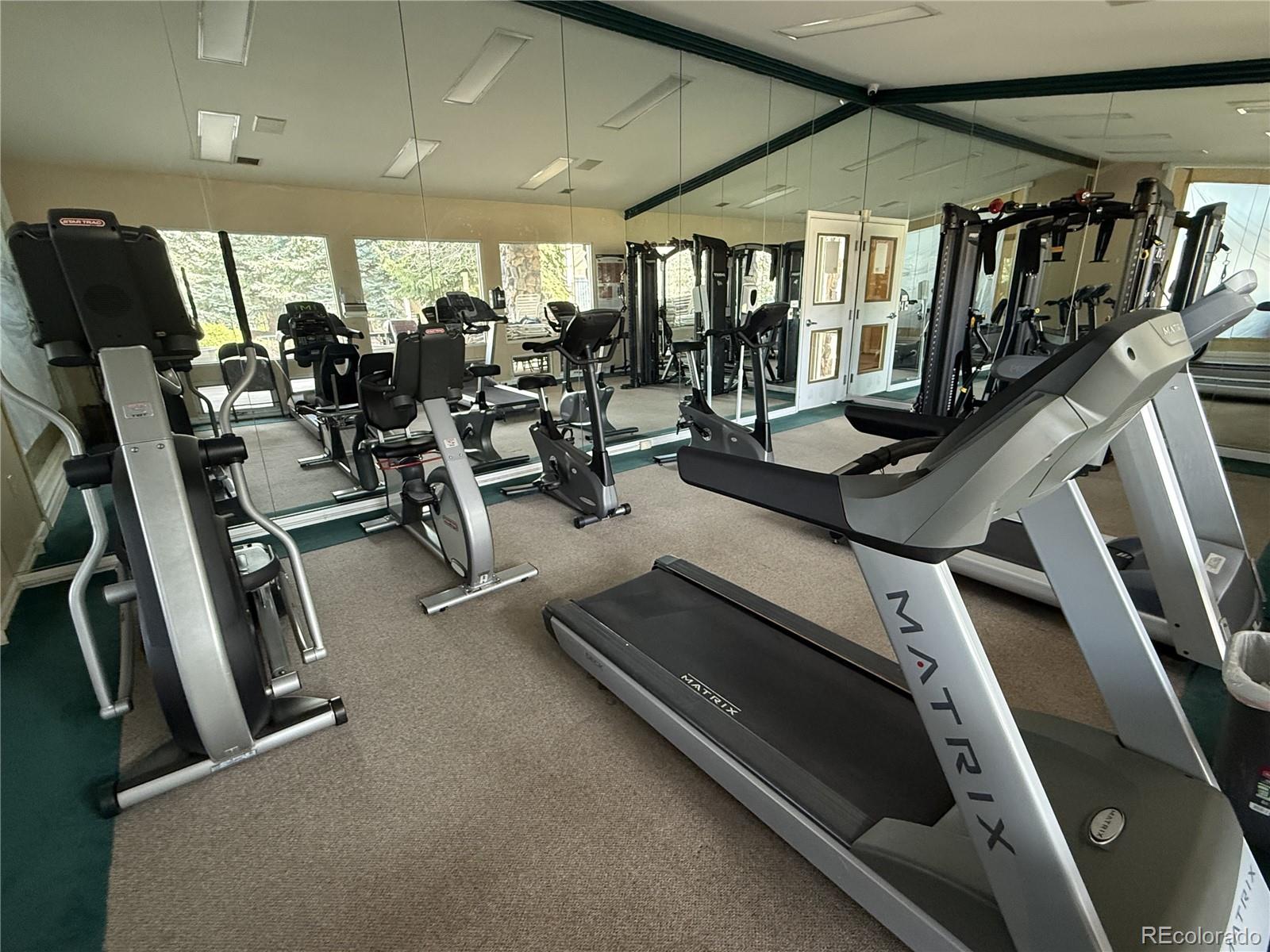 8389 Pebble Creek Way, Unit 101 Highlands Ranch, CO 80126 - Photo 44 of 44 a room with gym equipment and a large window