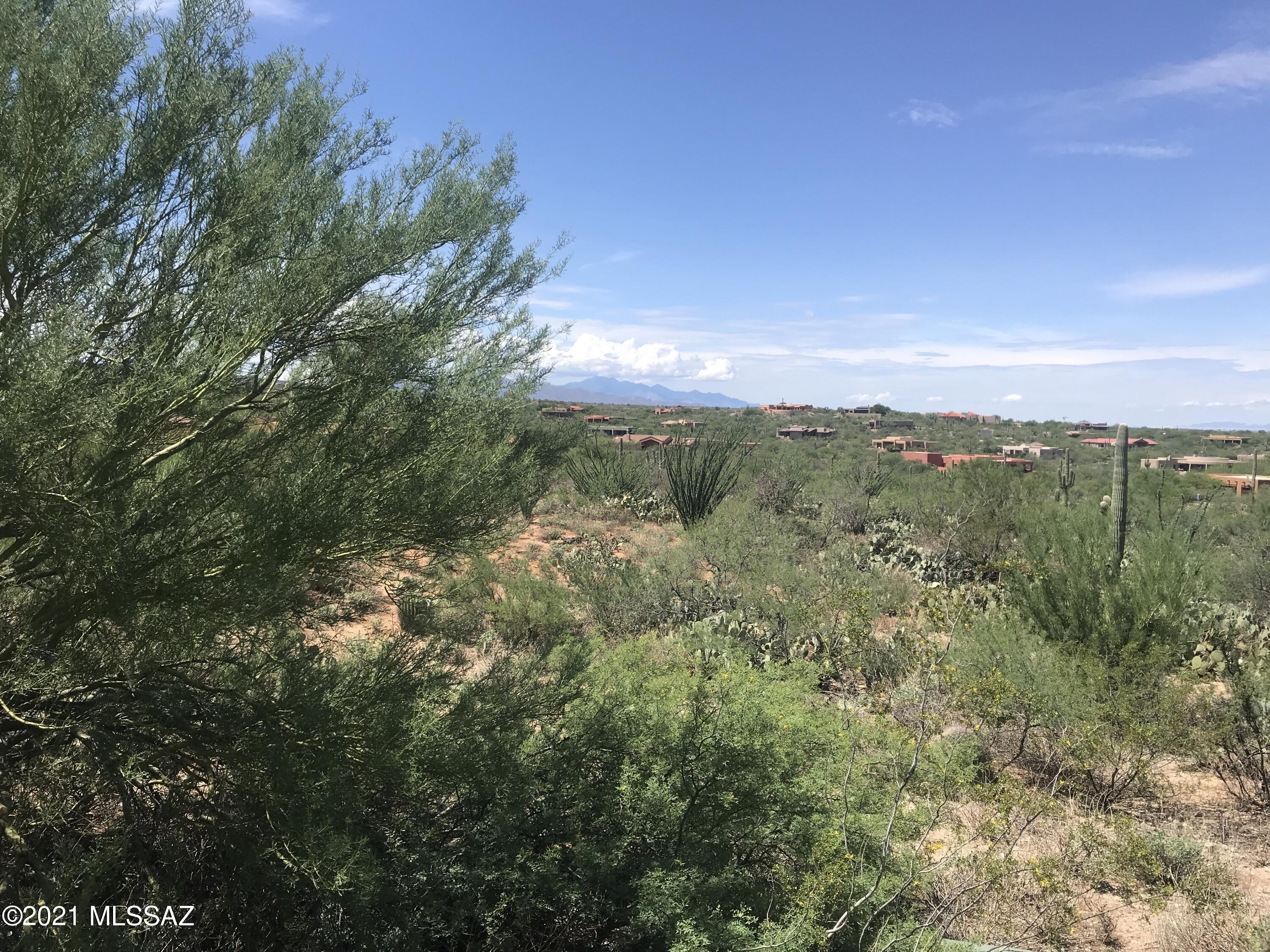 8476 Tumbling X Ranch Place, Unit 128 Vail, AZ 85641 - Photo 4 of 19