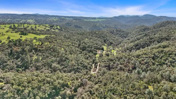 a view of a lush green hillside and a mountain
