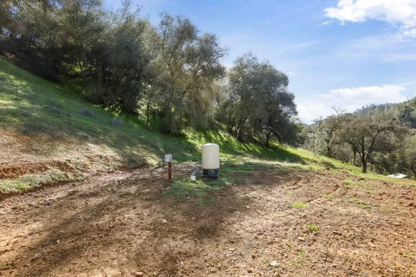 a view of a yard with a tree