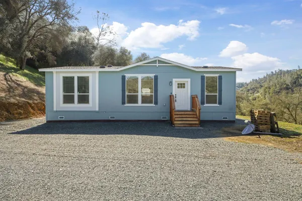 a view of a yard with plants and trees
