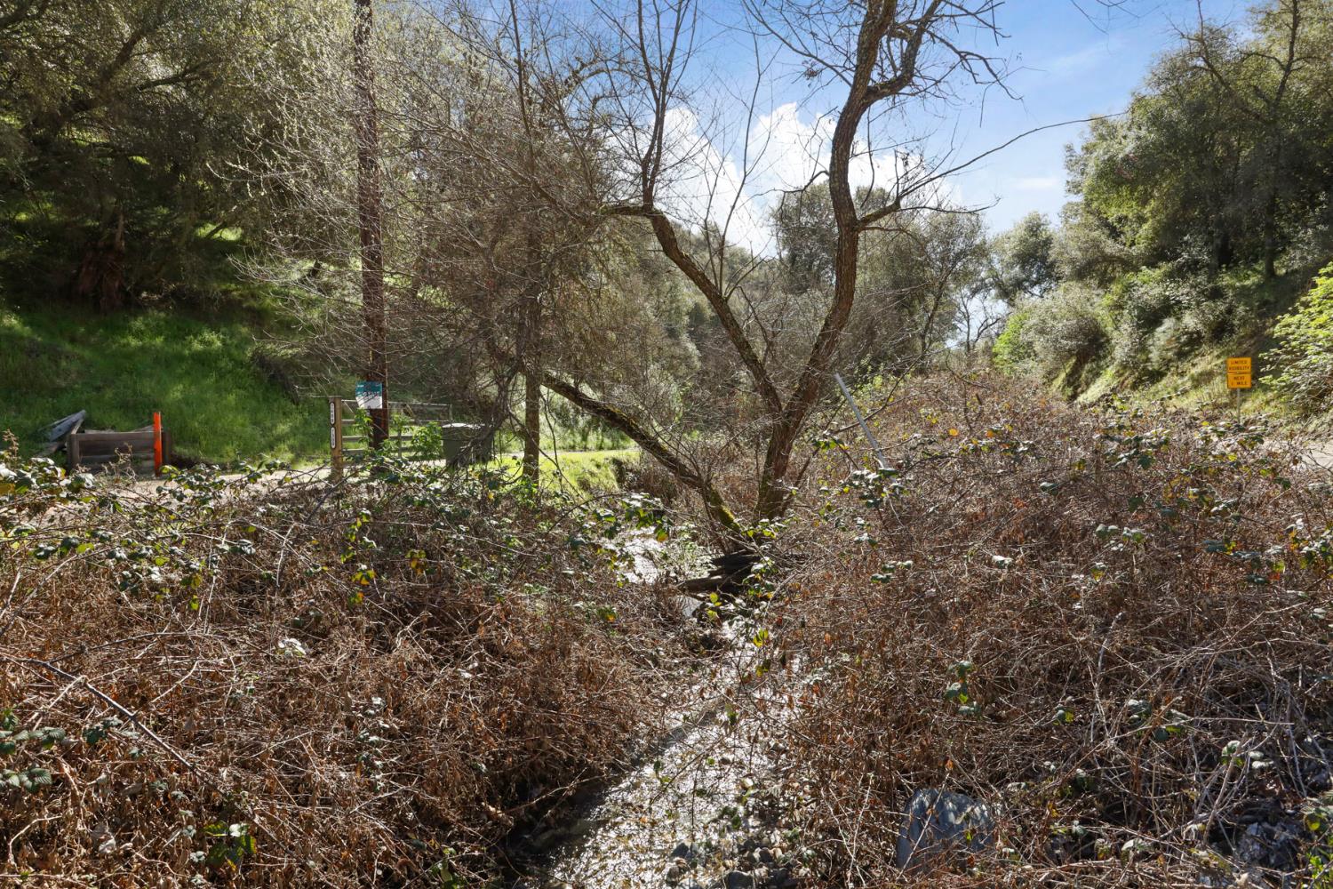 7680 Middle Bar Road Jackson, CA 95642 - Photo 52 of 58