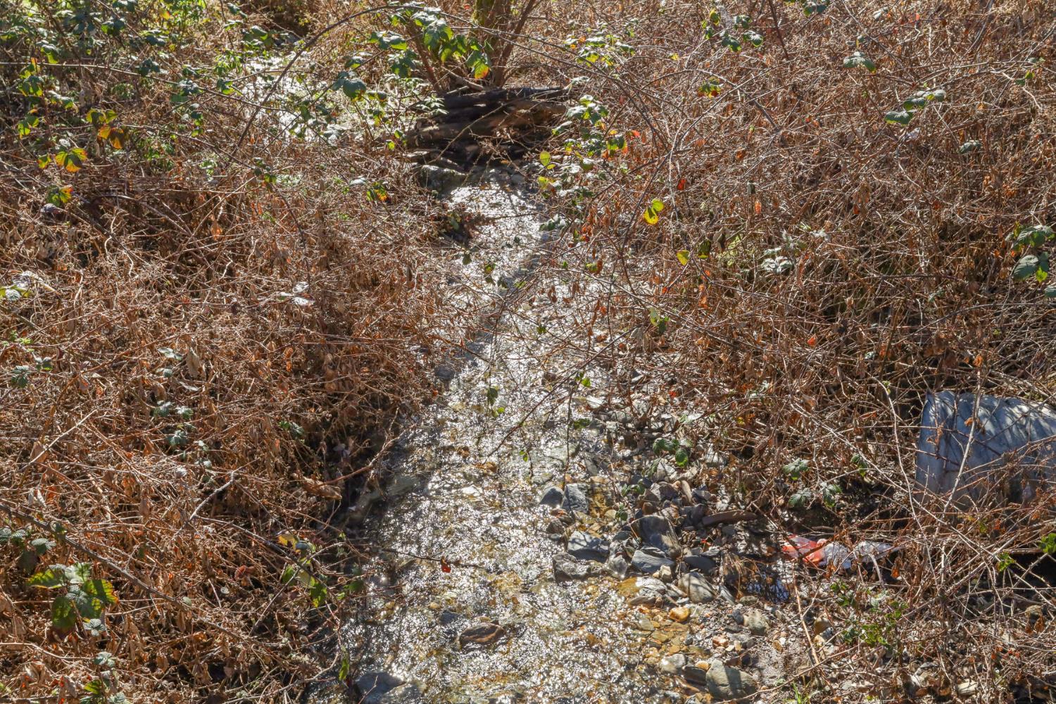 7680 Middle Bar Road Jackson, CA 95642 - Photo 53 of 58