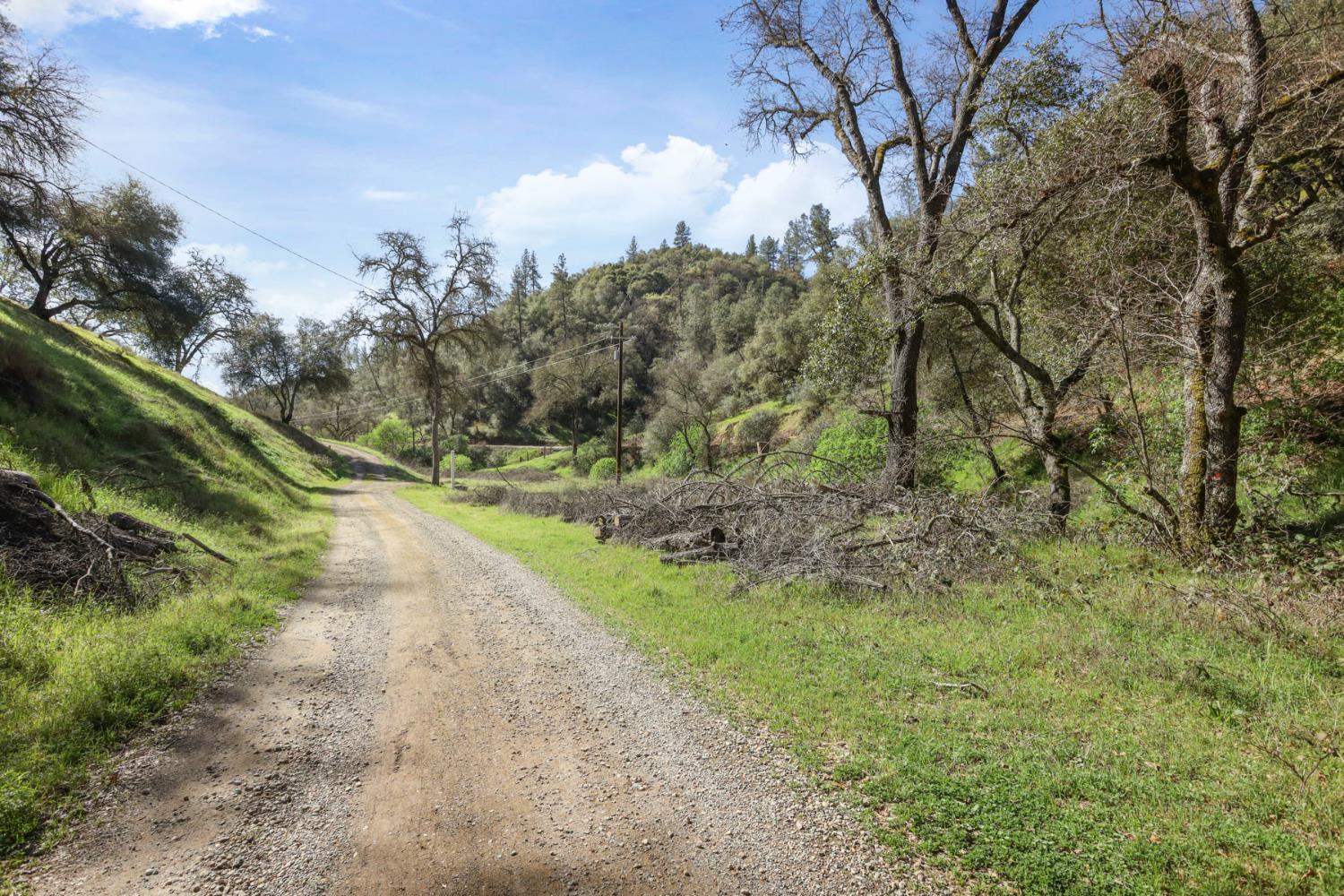 7680 Middle Bar Road Jackson, CA 95642 - Photo 55 of 58 a view of a yard with plants and trees