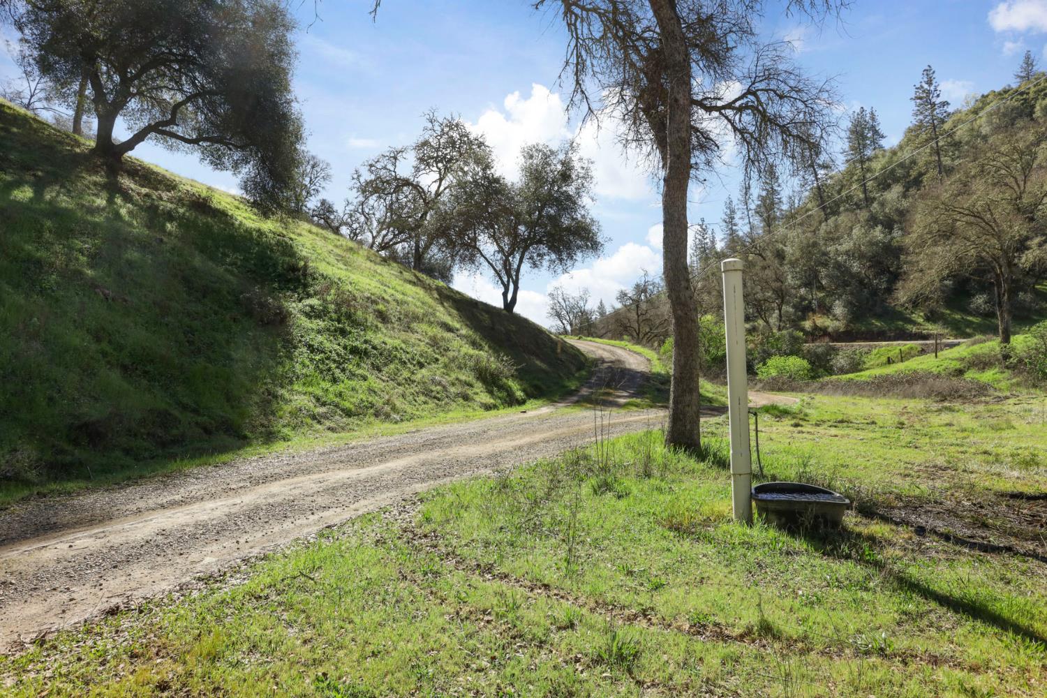 7680 Middle Bar Road Jackson, CA 95642 - Photo 57 of 58 a view of a yard with large trees