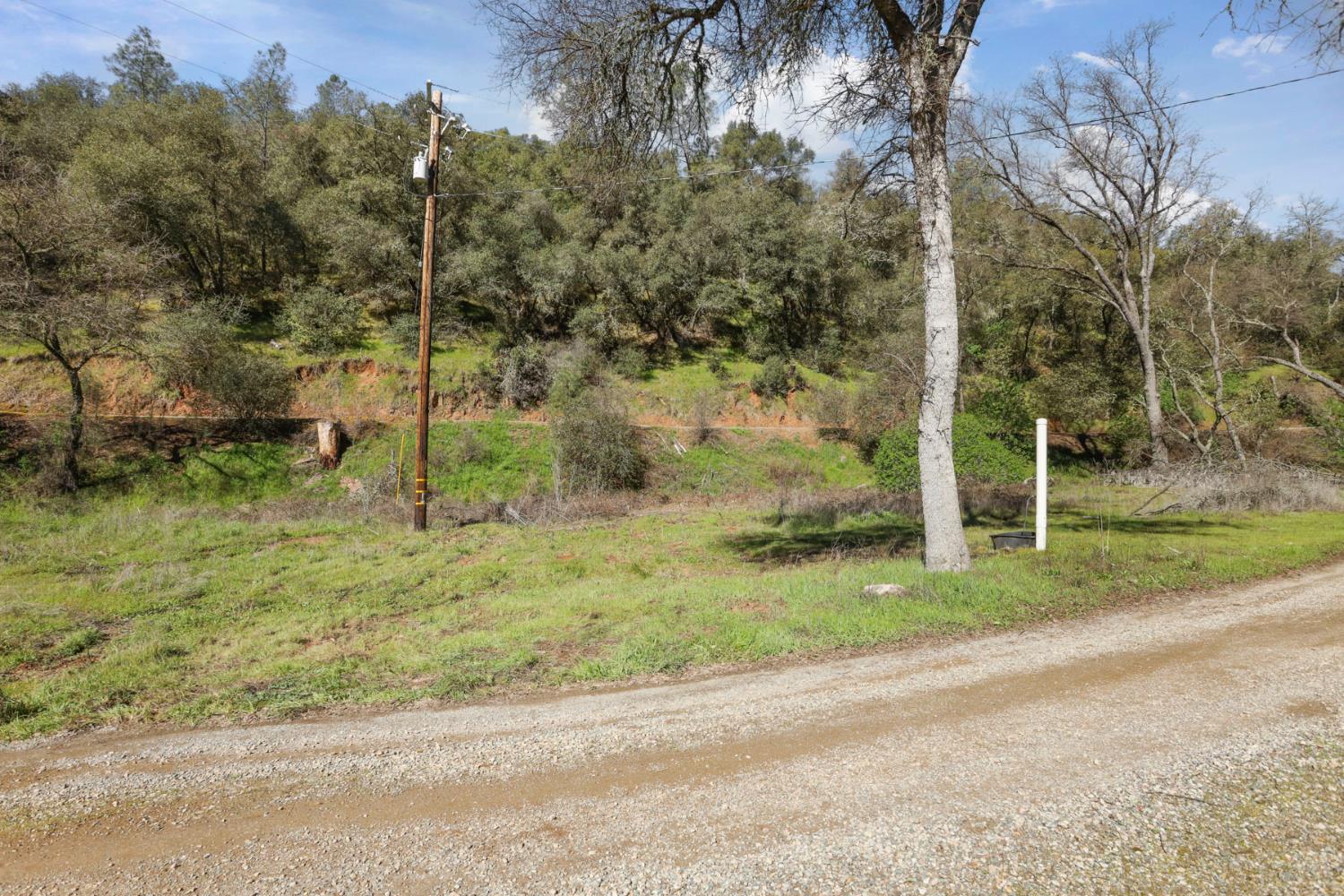 7680 Middle Bar Road Jackson, CA 95642 - Photo 58 of 58 a backyard of a house with lots of green space