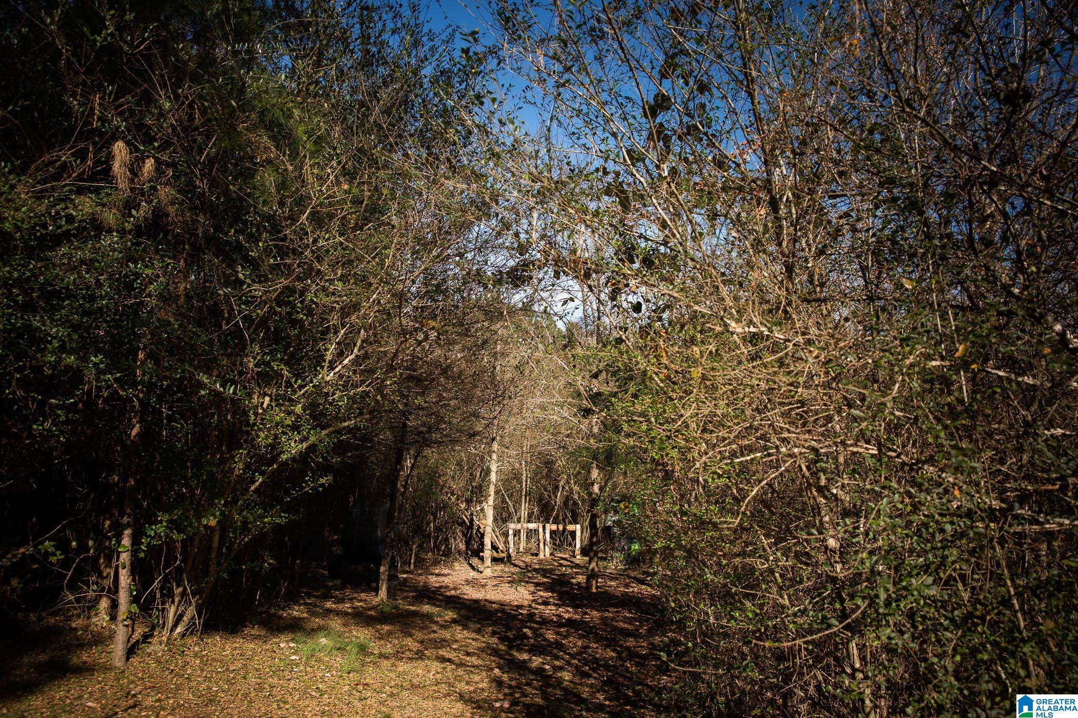 50 Deer Crossing Road Warrior, AL 35180 - Photo 16 of 16 Gallery Image 16