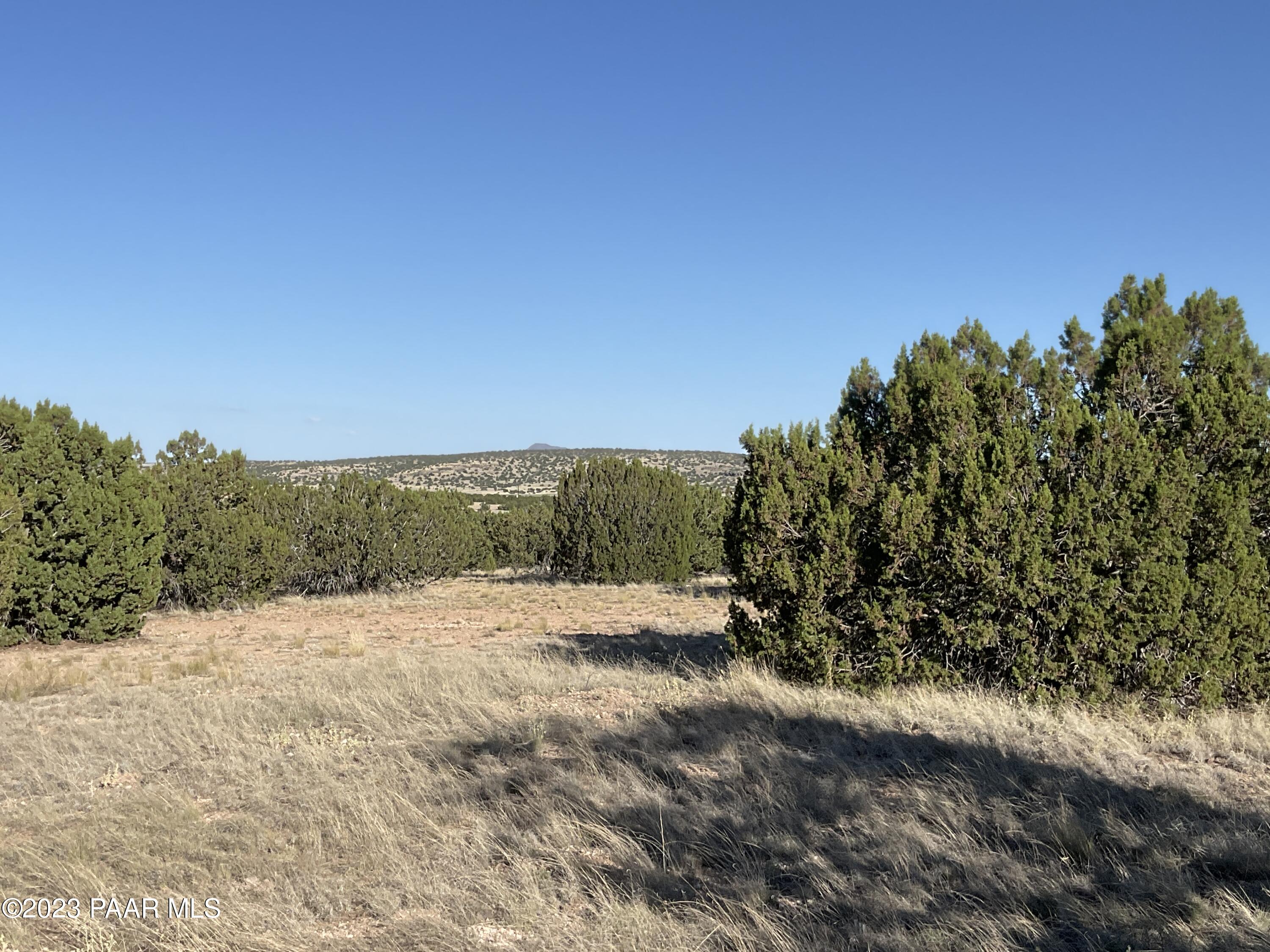 54320 North Quail Run Road Seligman, AZ 86337 - Photo 1 of 6 Land with view