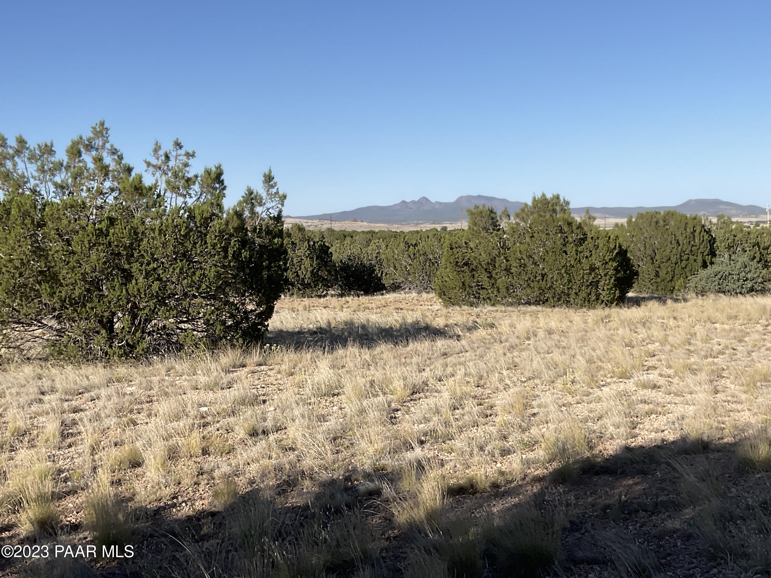 54320 North Quail Run Road Seligman, AZ 86337 - Photo 4 of 6 IMG_1871