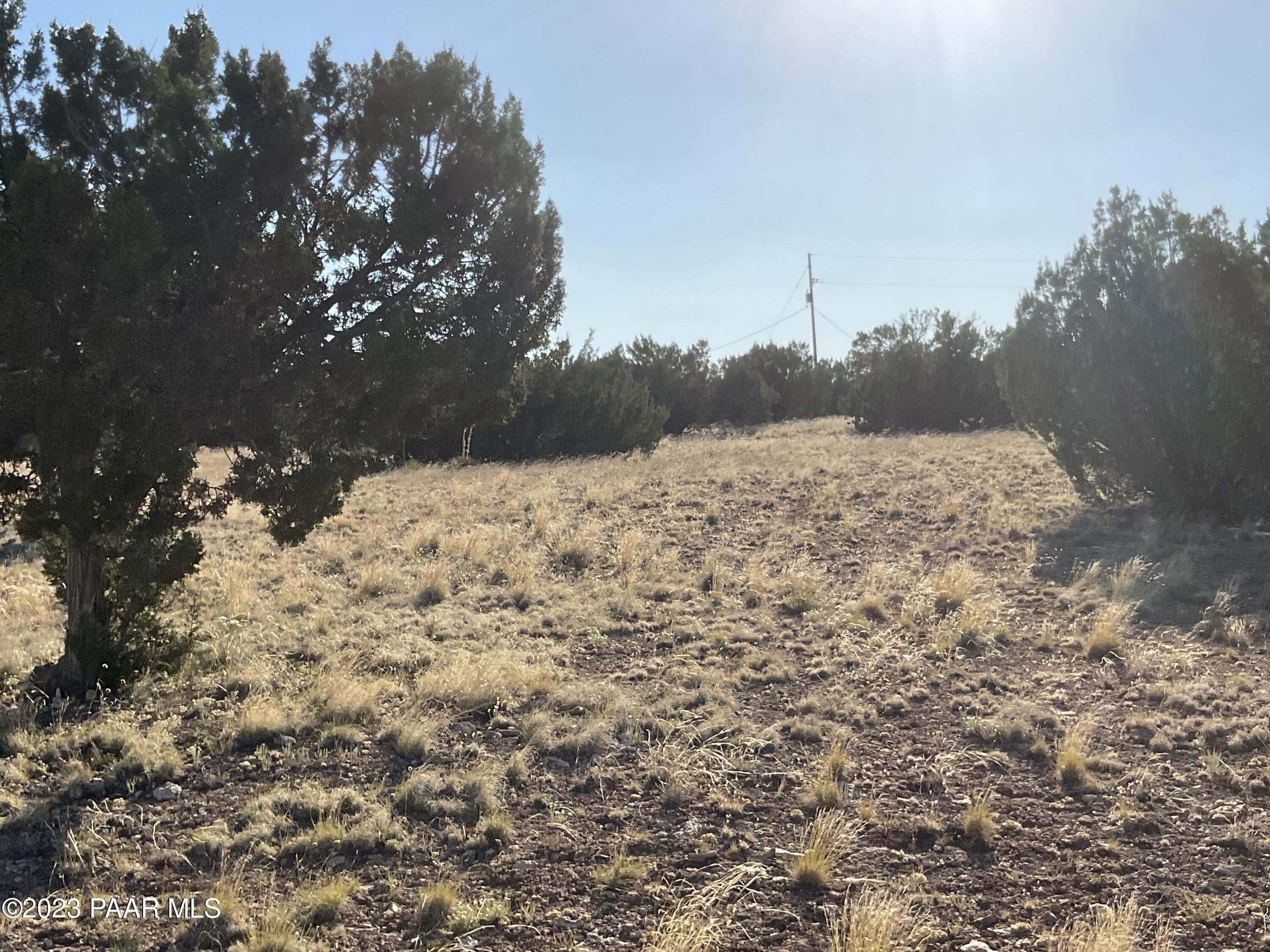 54320 North Quail Run Road Seligman, AZ 86337 - Photo 5 of 6 IMG_1869
