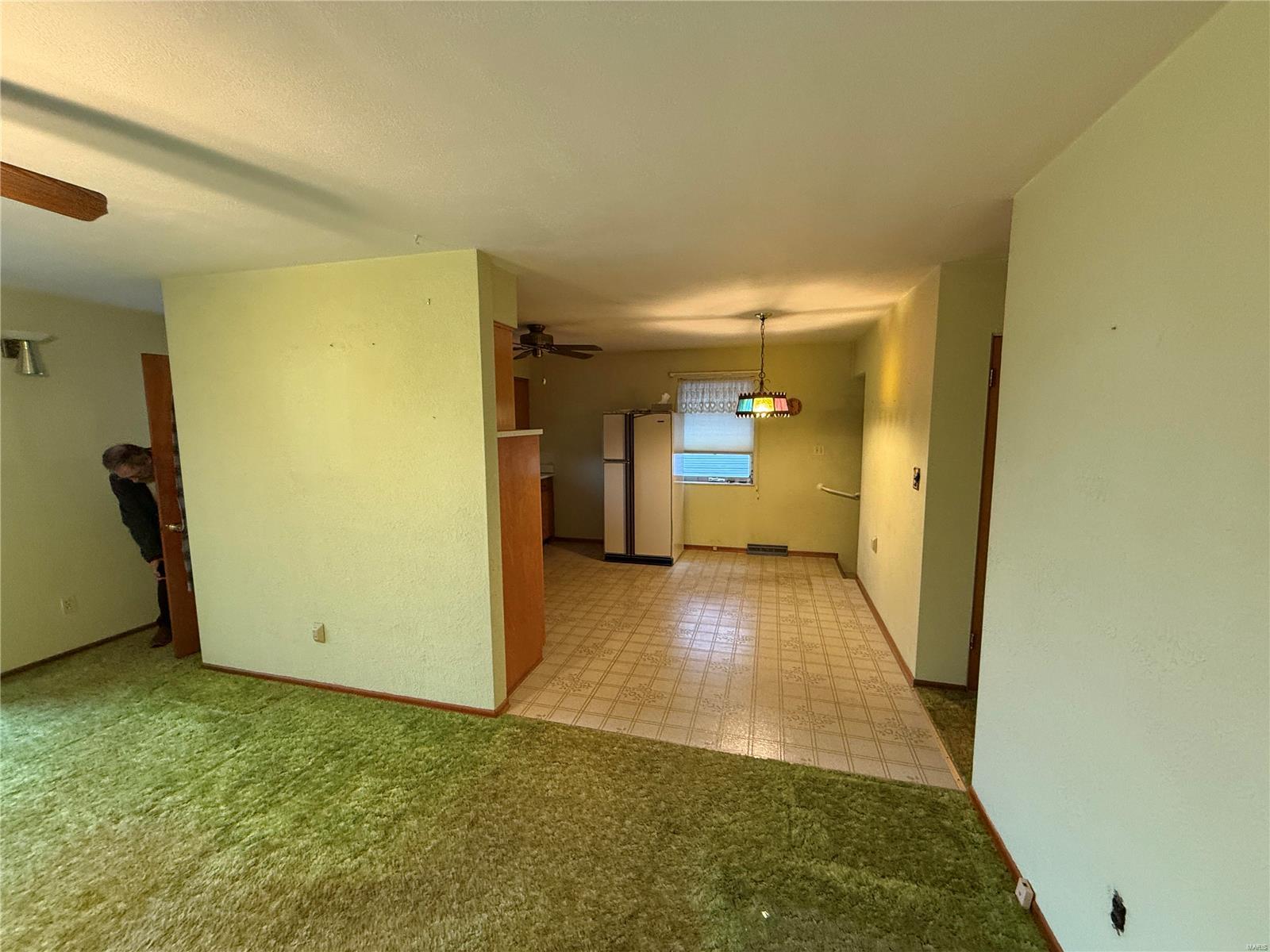 319 Doerr Street Roxana, IL 62084 - Photo 4 of 18